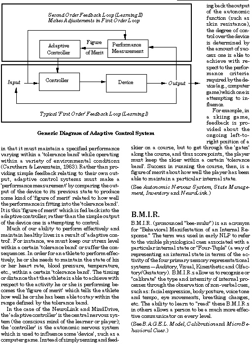 IMAGE imgs/B113.gif